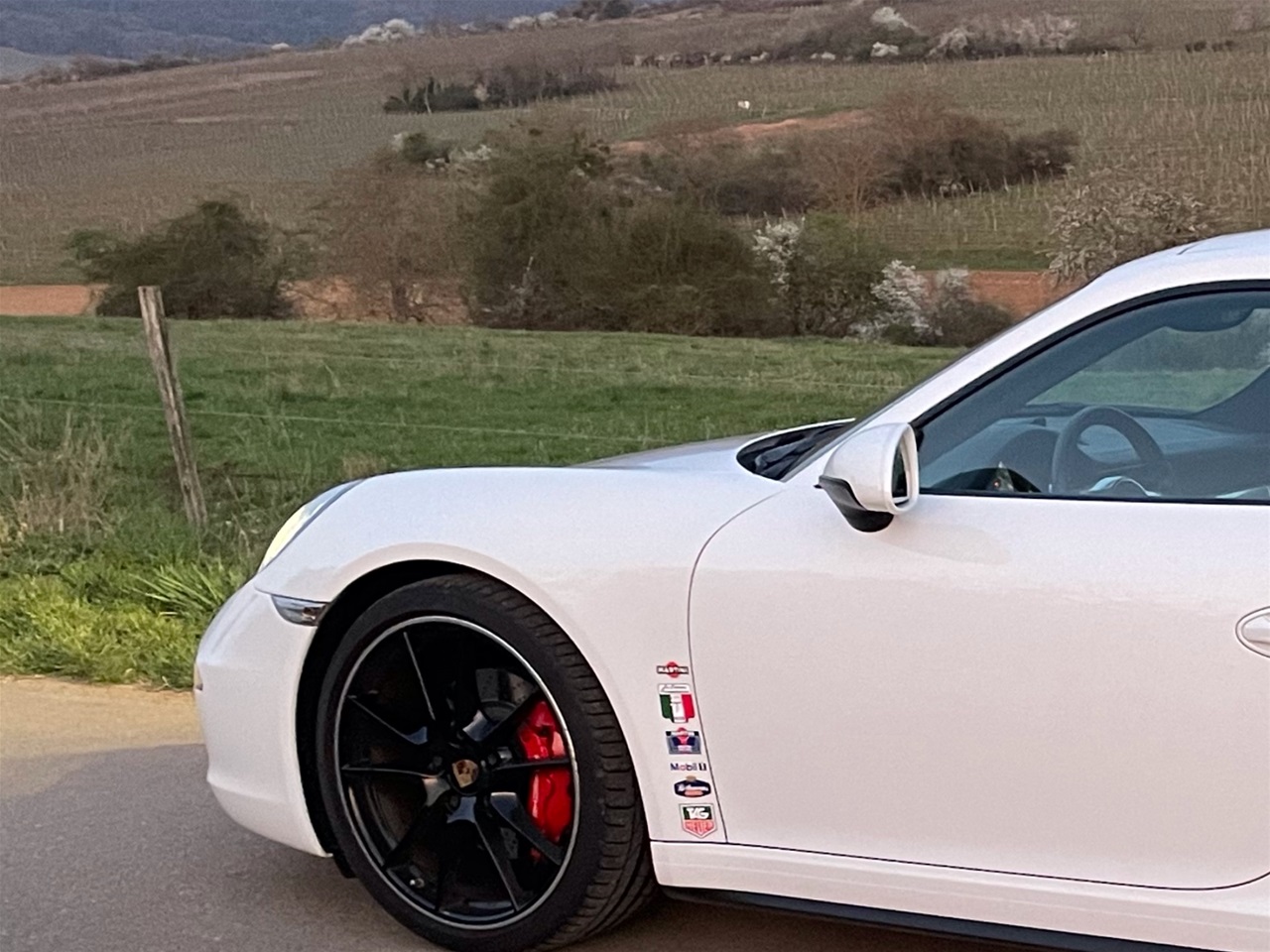 THE BEAST im Elsass