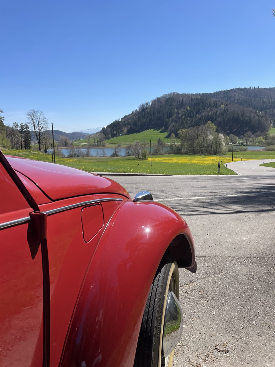 PRIMUS im Zürcher Oberland